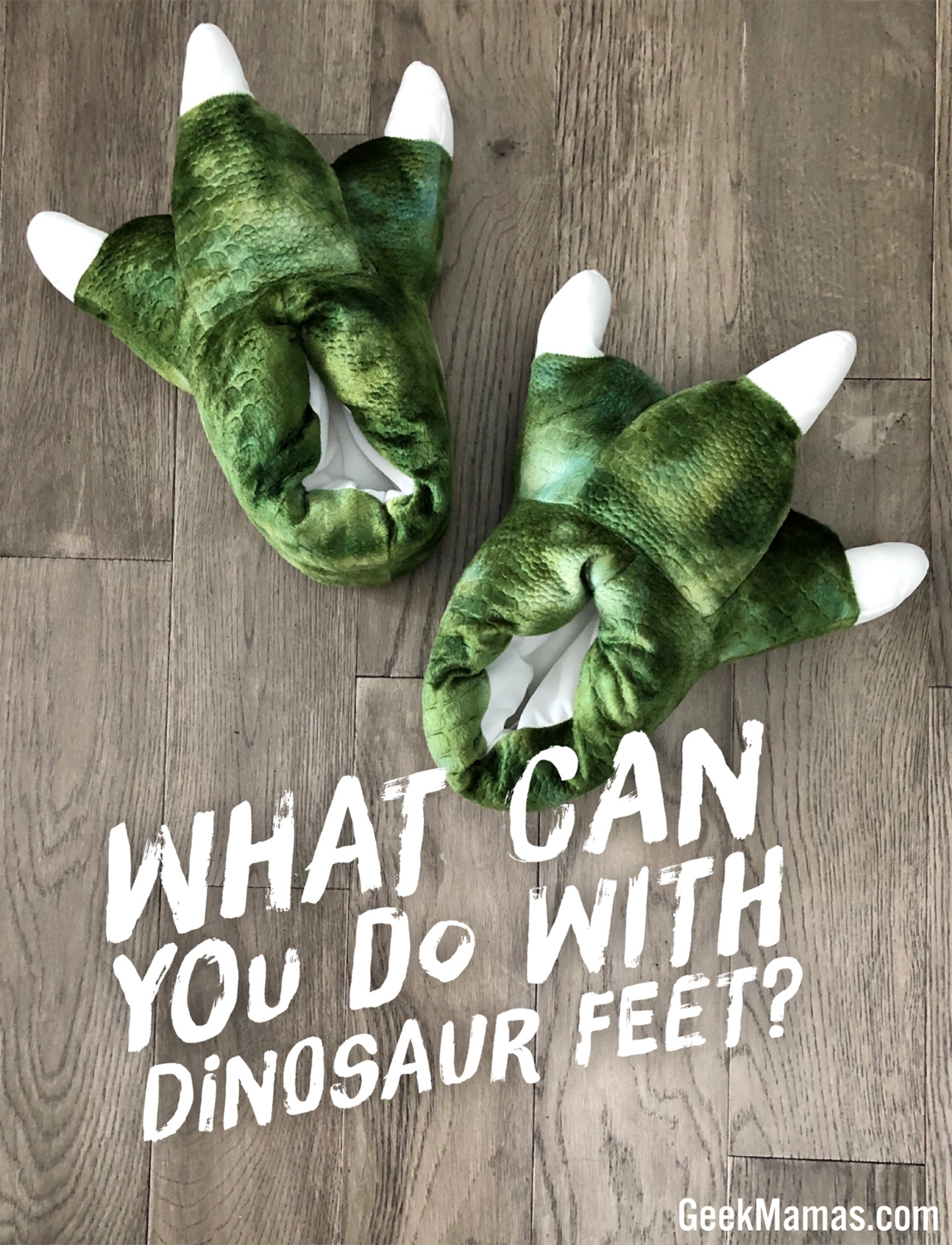 what can you do with dinosaur slippers