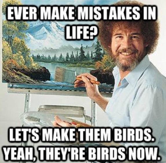 funny-picture-mistakes-in-life-birds