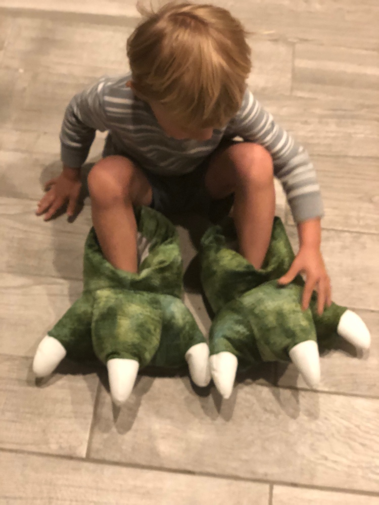 dinosaur foot slippers
