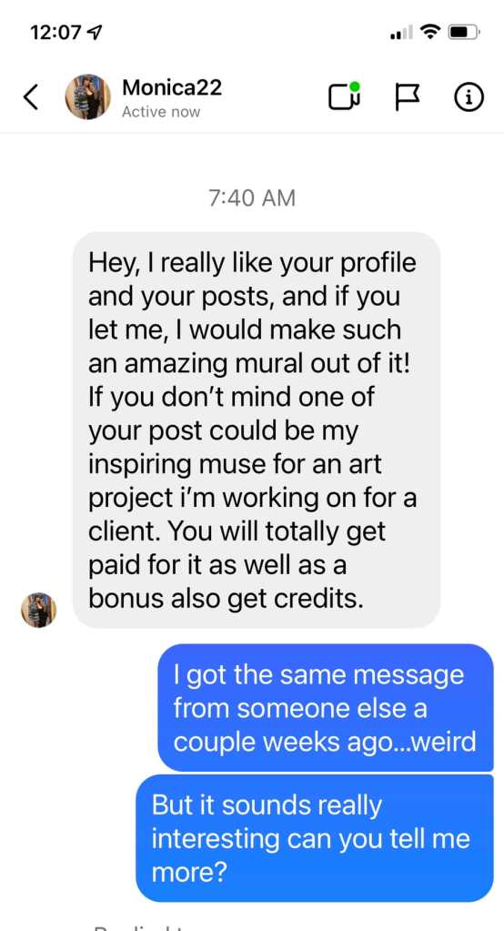 text from instagram scammer