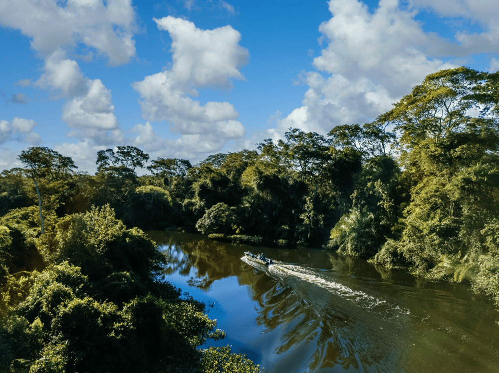 Into the Wild: Exploring the Peruvian Amazon’s Untamed Beauty - Geek Mamas